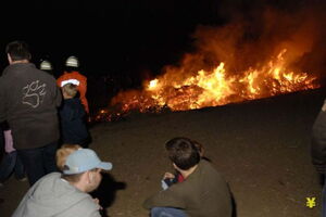 alb4_img149.jpg
